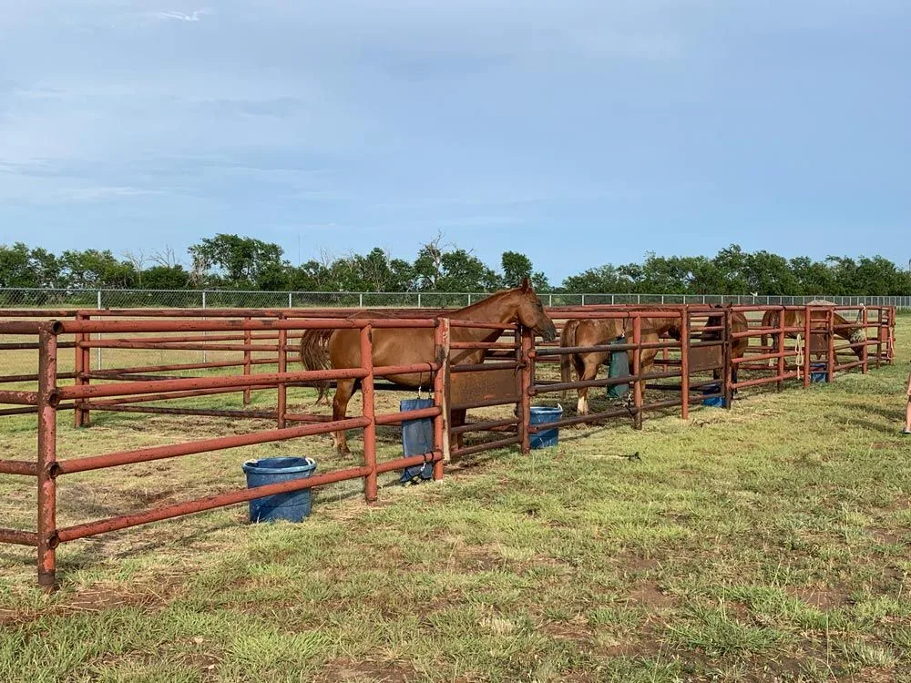 tent camping near lubbock tx​